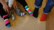 Wejdź DSC09219.JPG